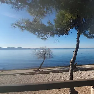 - Pine Diklo Apartament